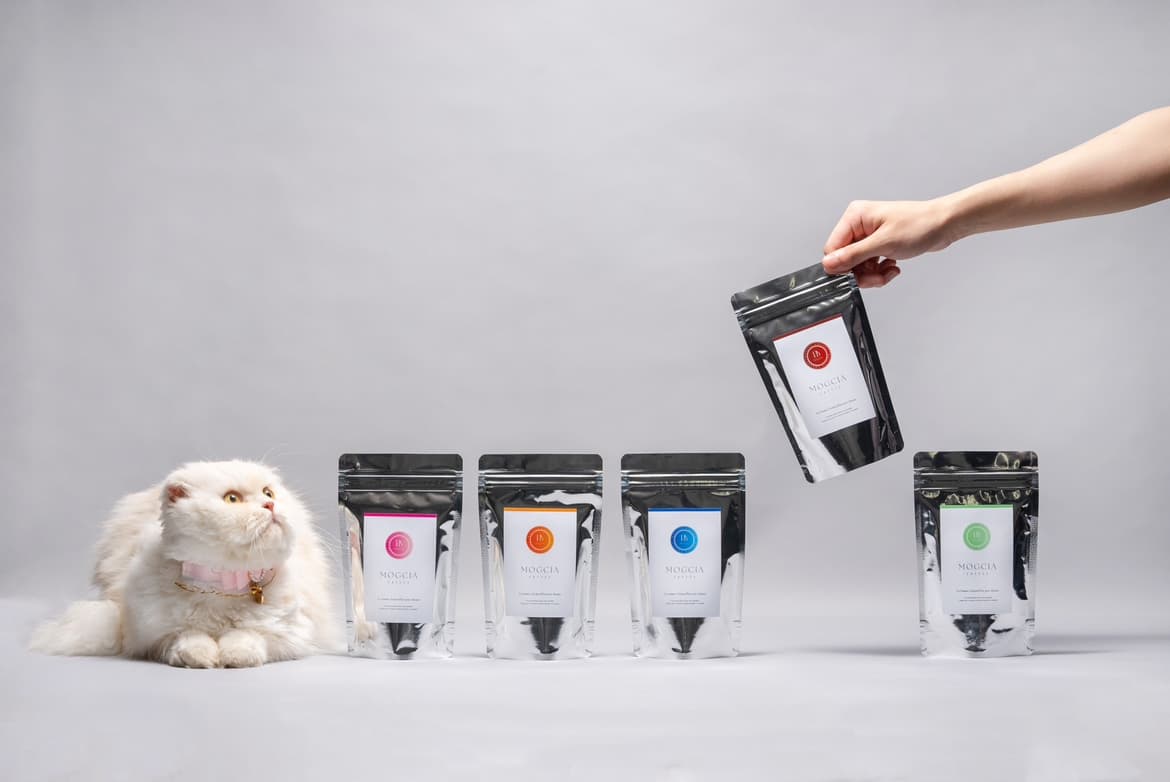 MOGCIA Coffeeの商品ラインアップと白い猫